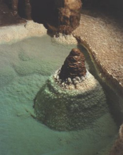 Thumbnail of photo from this article